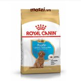  [500g - 1.5kg - 7.5kg ] Thức ăn hạt Royal canin Poodle Puppy Adult cho chó lông xoăn 