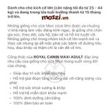  Royal Canin Maxi Puppy Adult Thức ăn hạt cho chó kích thước lớn 