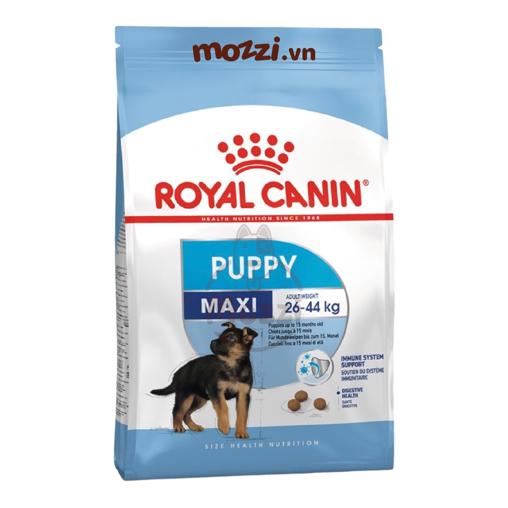 Thức ăn hạt Royal Canin Maxi Puppy Adult cho chó kích thước lớn [1kg - 4kg - 10kg - 16kg]