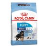 Thức ăn hạt Royal Canin Maxi Puppy Adult cho chó kích thước lớn [1kg - 4kg - 10kg - 16kg]