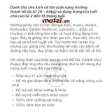  Thức ăn hạt Royal Canin Maxi Puppy Adult cho chó kích thước lớn [1kg - 4kg - 10kg - 16kg] 