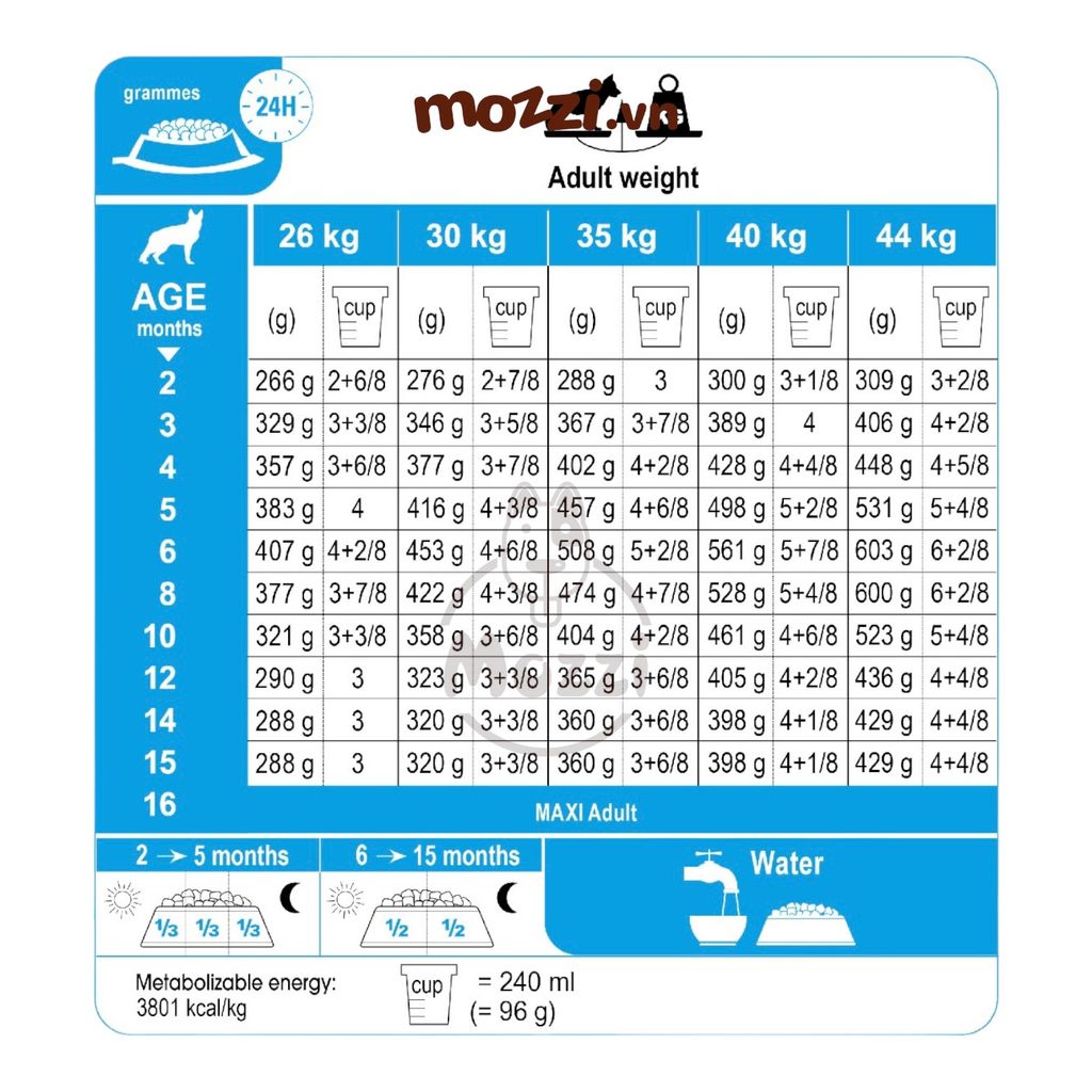Thức ăn hạt Royal Canin Maxi Puppy Adult cho chó kích thước lớn [1kg - 4kg - 10kg - 16kg]