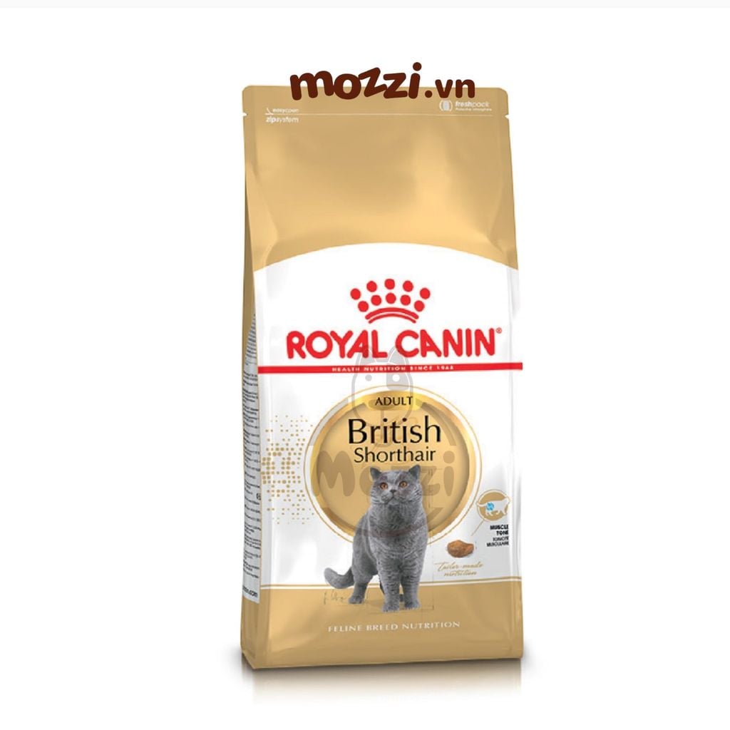 Thức ăn hạt Royal Canin British Shorthair Kitten Adult cho mèo Anh lông ngắn [400g - 2kg]