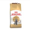 Thức ăn hạt Royal Canin British Shorthair Kitten Adult cho mèo Anh lông ngắn [400g - 2kg]