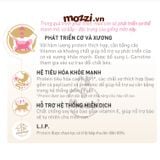  Thức ăn hạt Royal Canin British Shorthair Kitten Adult cho mèo Anh lông ngắn [400g - 2kg] 