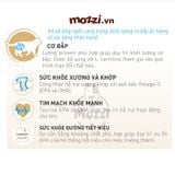  Thức ăn hạt Royal Canin British Shorthair Kitten Adult cho mèo Anh lông ngắn [400g - 2kg] 