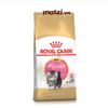 Thức ăn hạt Royal Canin Persian Kitten Adult cho mèo Anh lông dài Ba Tư [400g - 2kg]