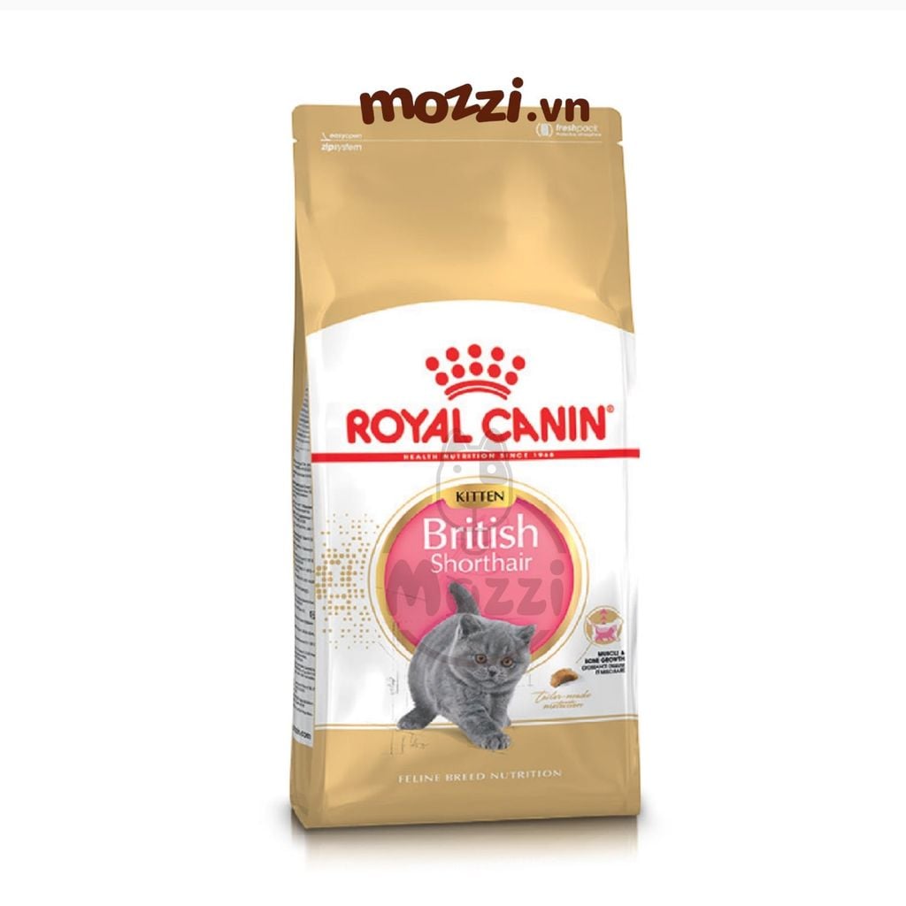 Thức ăn hạt Royal Canin British Shorthair Kitten Adult cho mèo Anh lông ngắn [400g - 2kg]