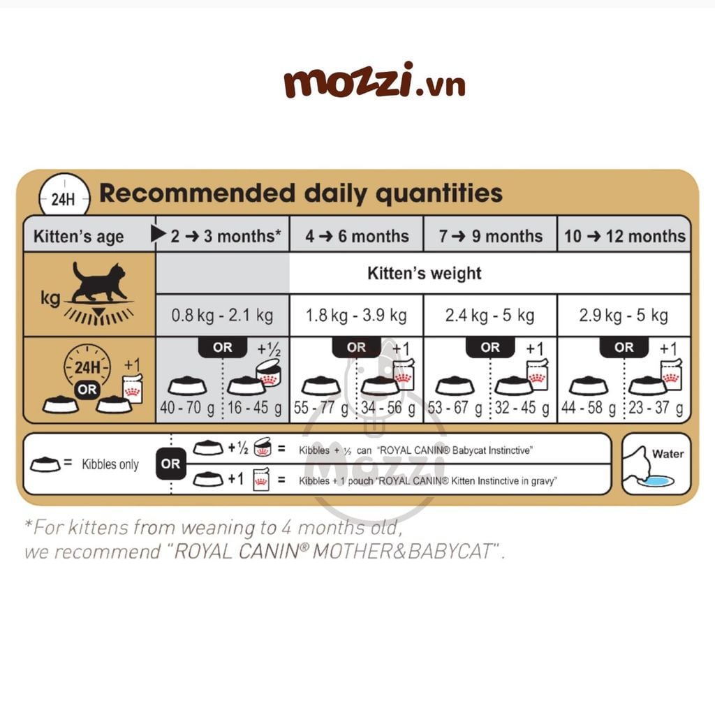 Thức ăn hạt Royal Canin British Shorthair Kitten Adult cho mèo Anh lông ngắn [400g - 2kg]