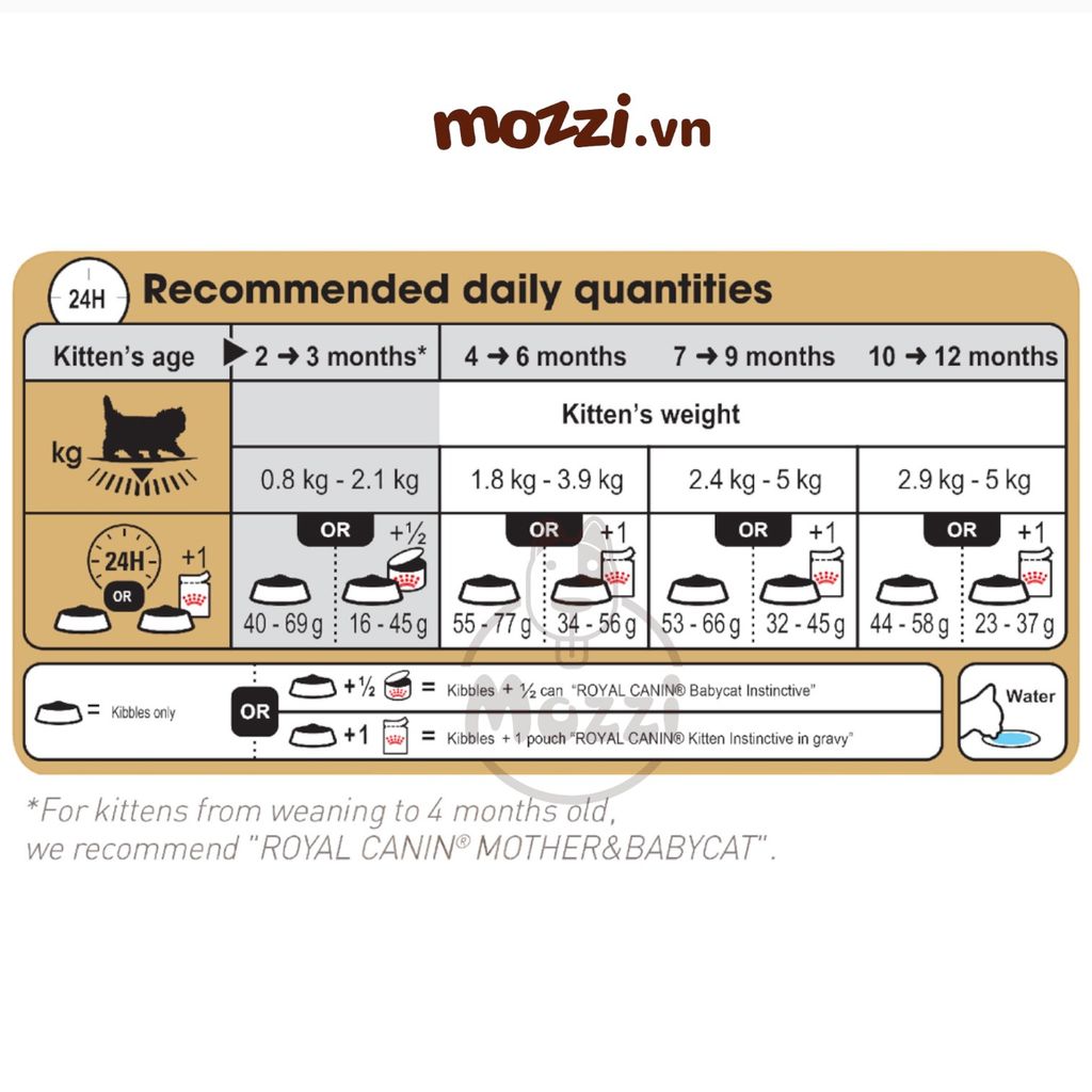 Thức ăn hạt Royal Canin Persian Kitten Adult cho mèo Anh lông dài Ba Tư [400g - 2kg]
