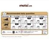  Thức ăn hạt Royal Canin British Shorthair Kitten Adult cho mèo Anh lông ngắn [400g - 2kg] 