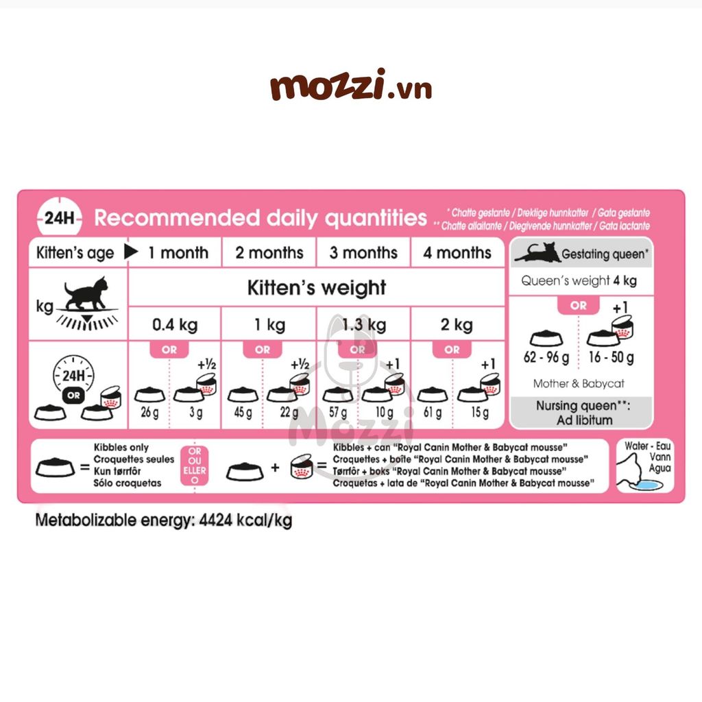 Thức ăn hạt Royal Canin Mother & Babycat cho mèo mẹ và mèo con dưới 4 tháng tuổi [400gr - 2kg - 4kg - 10kg]
