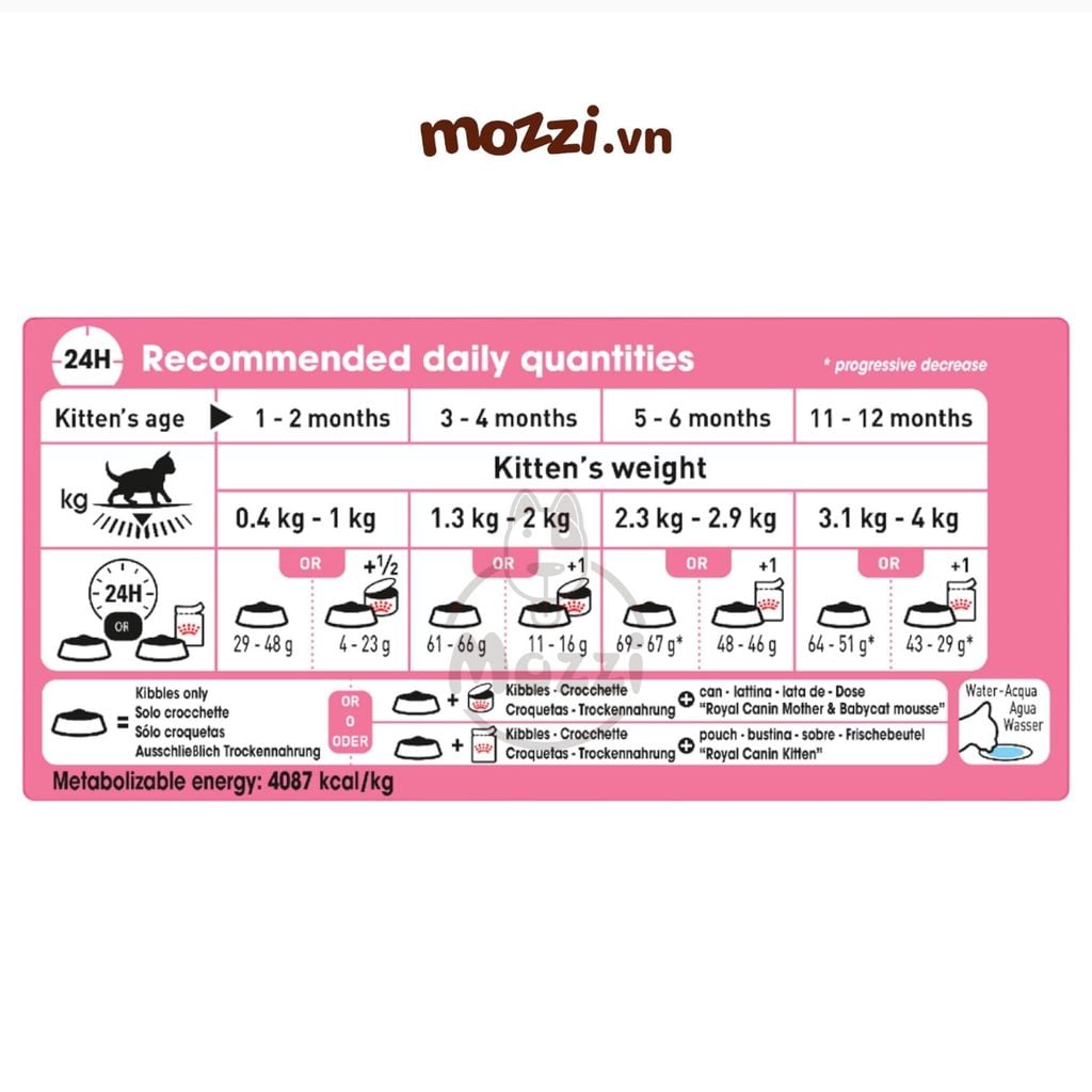 Thức ăn hạt Royal Canin Kitten cho mèo con 4-12 tháng tuổi [400g - 2kg - 4kg - 10kg - 13kg]