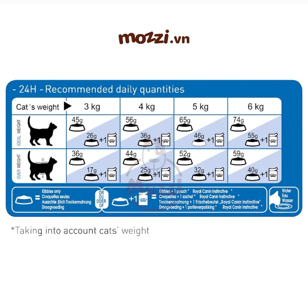 Thức ăn hạt Royal Canin Indoor cho mèo trong nhà [400g - 2kg - 4kg - 10kg]