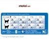 Thức ăn hạt Royal Canin Indoor cho mèo trong nhà [400g - 2kg - 4kg - 10kg]
