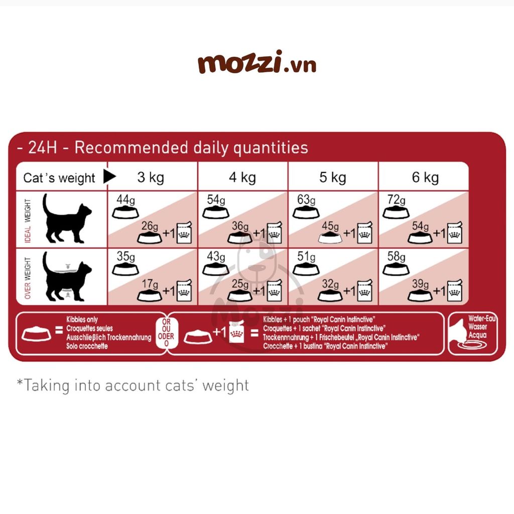 Thức ăn hạt Royal Canin Fit Fit32 cho mèo vận động nhiều [400g - 2kg - 4kg - 10kg]