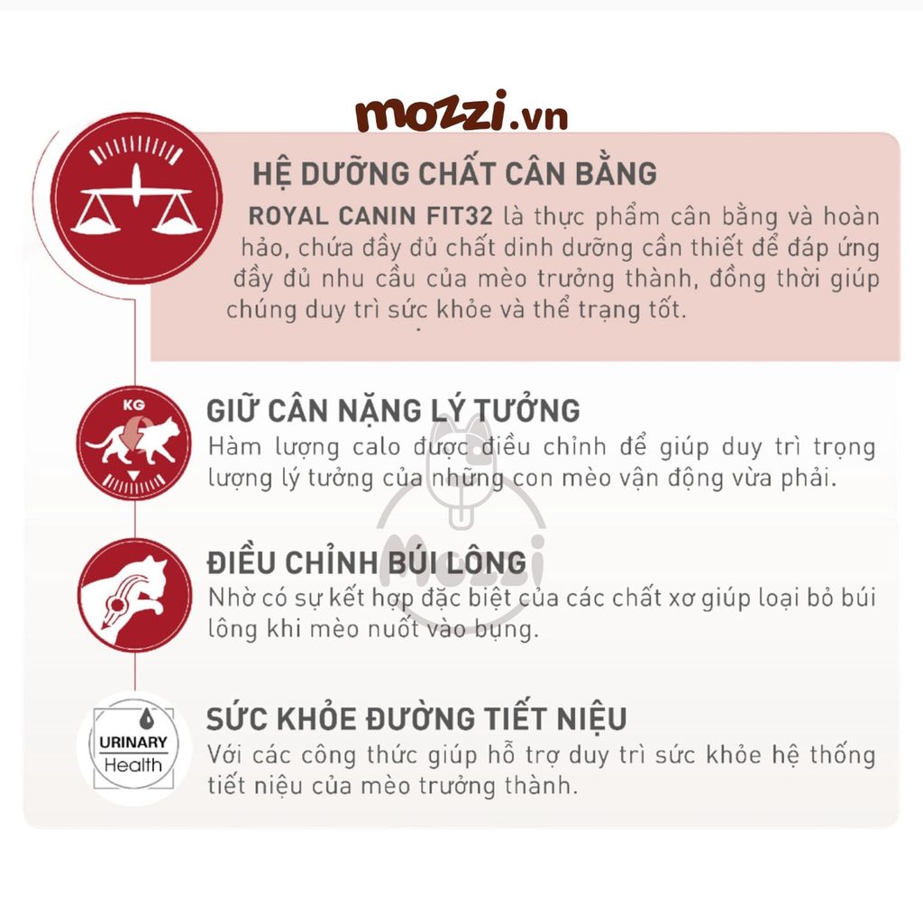 Thức ăn hạt Royal Canin Fit Fit32 cho mèo vận động nhiều [400g - 2kg - 4kg - 10kg]