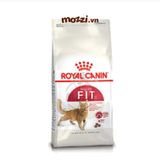  Royal Canin Fit Fit32 cho mèo vận động nhiều 