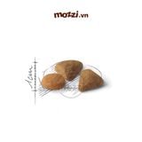  [2kg] Thức ăn hạt Royal Canin Savour Exigent cho mèo kén ăn 