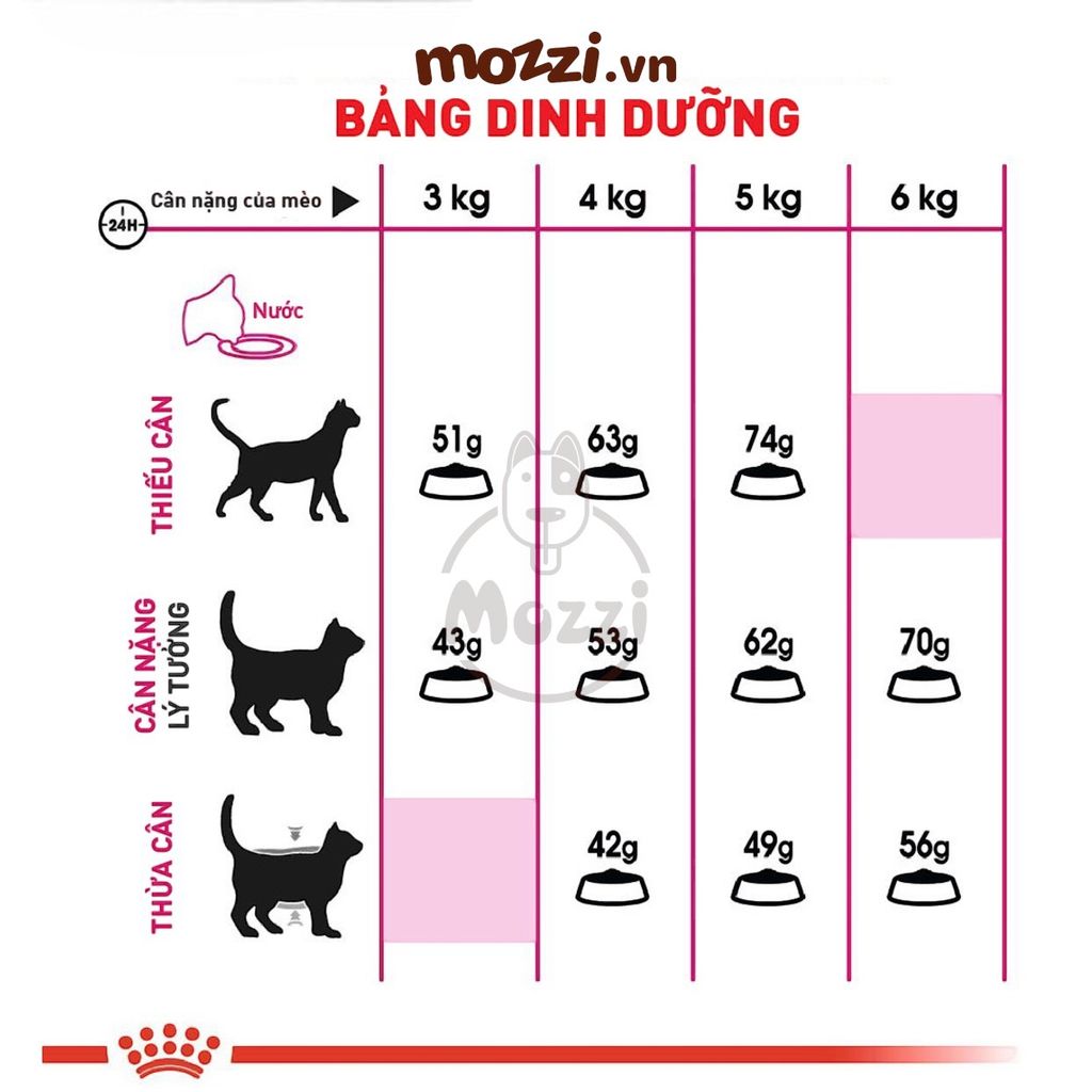 [400g-2kg] Thức ăn hạt Royal Canin Fussy Exigent cho mèo kén ăn
