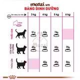  [2kg] Thức ăn hạt Royal Canin Savour Exigent cho mèo kén ăn 