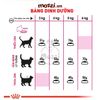 [400g-2kg] Thức ăn hạt Royal Canin Fussy Exigent cho mèo kén ăn