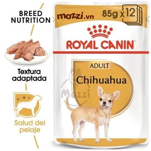  Pate cho chó Royal Canin Chihuahua Adult Phốc hươu 