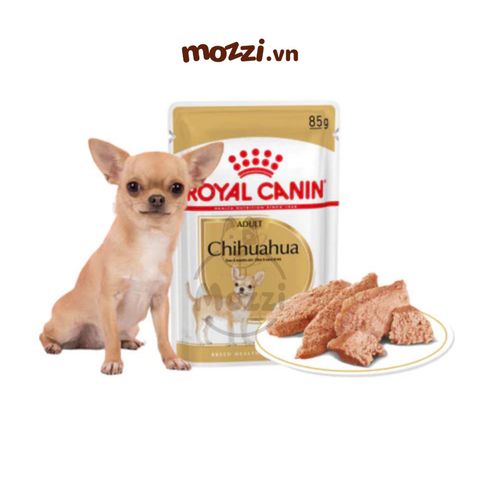  Pate cho chó Royal Canin Chihuahua Adult Phốc hươu 