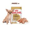 Pate cho chó Royal Canin Chihuahua Adult Phốc hươu