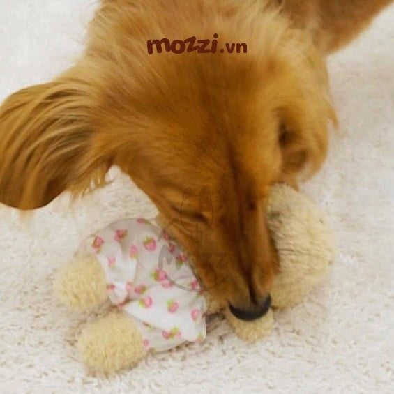 Đồ chơi chó mèo DoggyMan Thú bông âm thanh