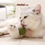  Catnip Kẹo mút cỏ bạc hà cho mèo 