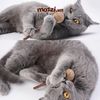 Catnip Kẹo mút cỏ bạc hà cho mèo