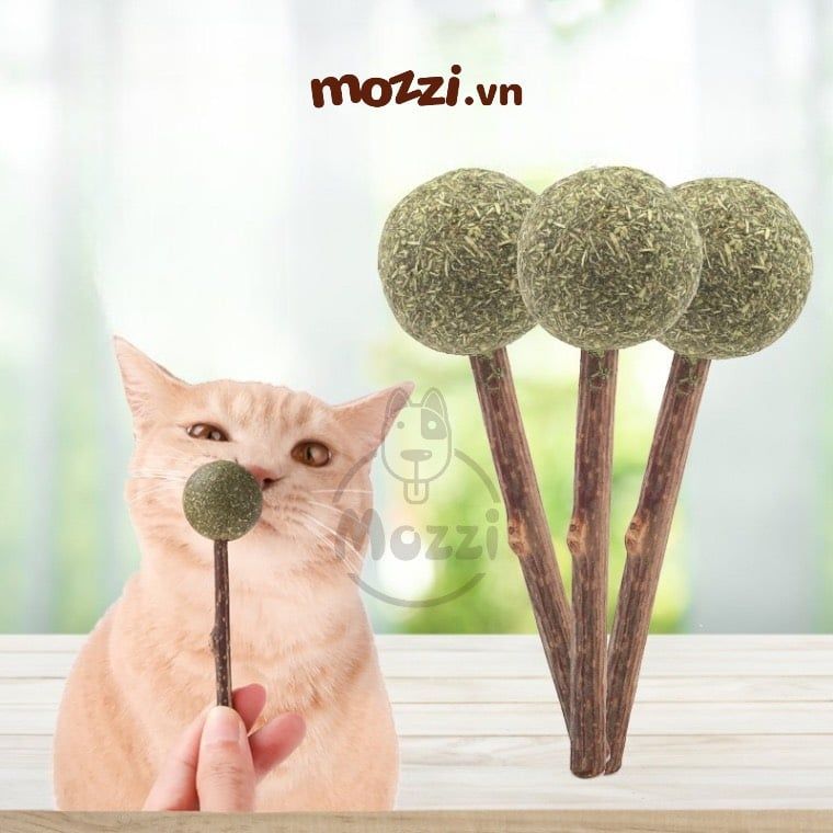 Catnip Kẹo mút cỏ bạc hà cho mèo
