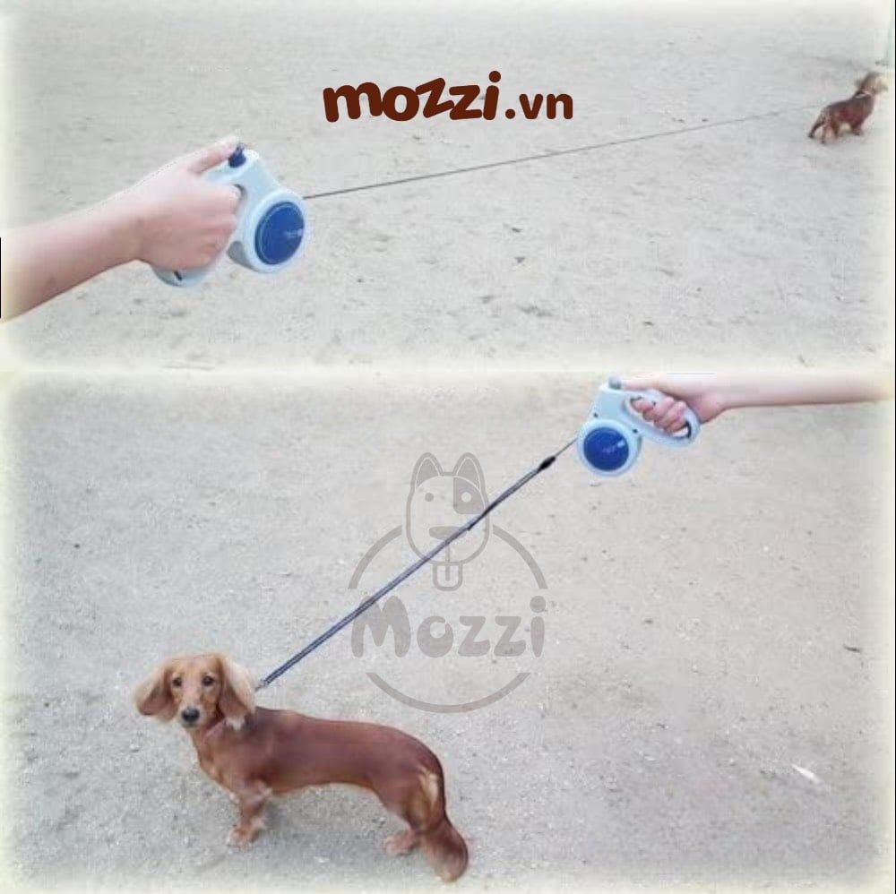 DoggyMan Dây dắt tự động 5m cho chó mèo