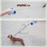  DoggyMan Dây dắt tự động 5m cho chó mèo 