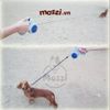 DoggyMan Dây dắt tự động 5m cho chó mèo