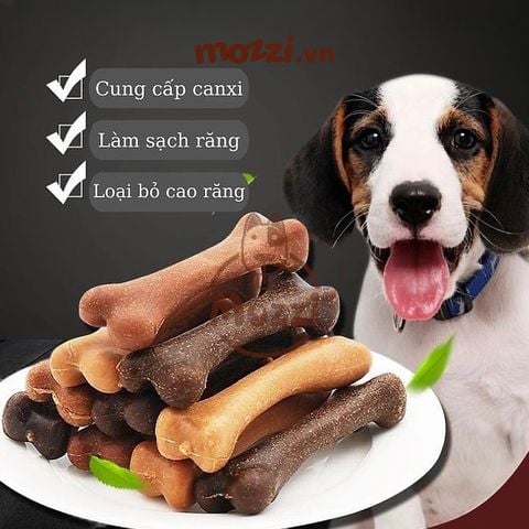Snack cho chó Xương gặm sạch răng Dental Bone Pet2Go Thái Lan