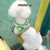 Dây dắt yếm ngực nửa bụng phản quang cho chó mèo