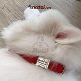  Dog Collar Pro Vòng cổ dây vải cao cấp khắc tên cho chó - Pettag Mozzi 