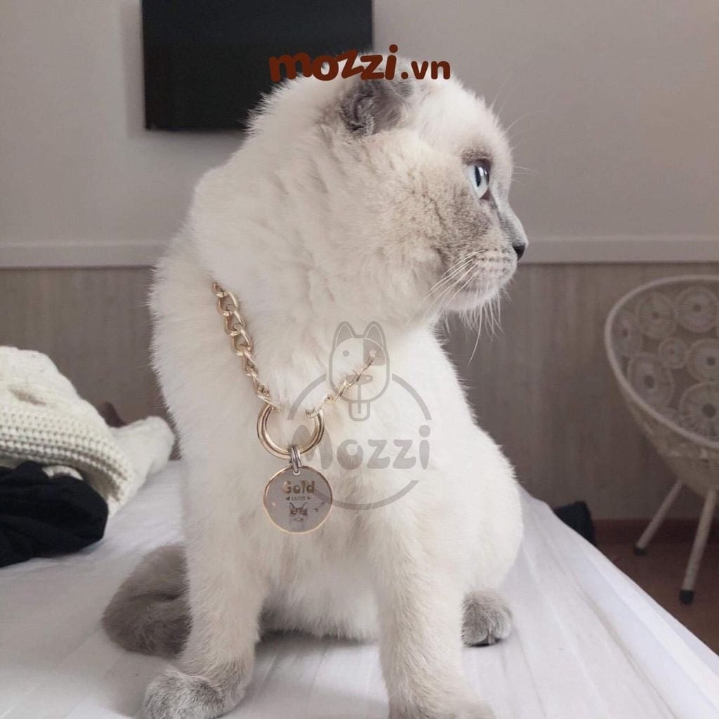 Thẻ tên và dây chuyền ngầu cho chó mèo - Pettag Mozzi