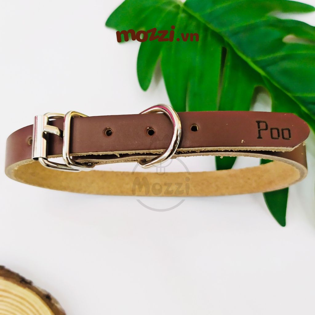 Combo Thẻ tên và Dây da Vòng cổ cho chó mèo - Pettag Mozzi