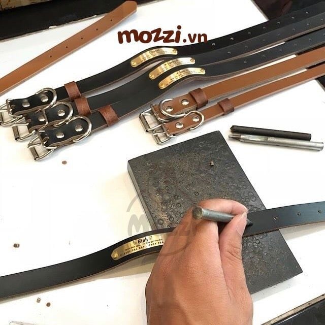 Dây da gắn tag inox khắc tên cho chó mèo - Pettag Mozzi