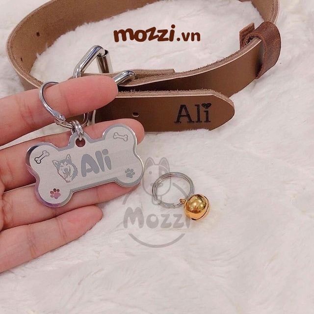 Combo Thẻ tên và Dây da Vòng cổ cho chó mèo - Pettag Mozzi