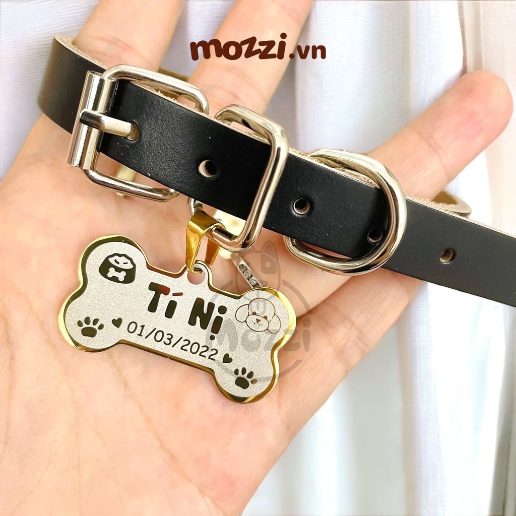 Combo Thẻ tên và Dây da Vòng cổ cho chó mèo - Pettag Mozzi