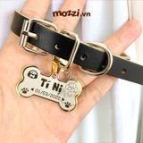  Combo Thẻ tên và Dây da Vòng cổ cho chó mèo - Pettag Mozzi 
