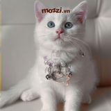  Combo Thẻ tên và Dây charm mix ngẫu nhiên cho chó mèo - Pettag Mozzi 
