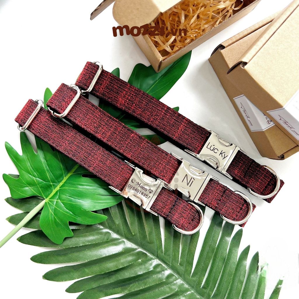 Dog Collar Pro Vòng cổ dây vải cao cấp khắc tên cho chó - Pettag Mozzi