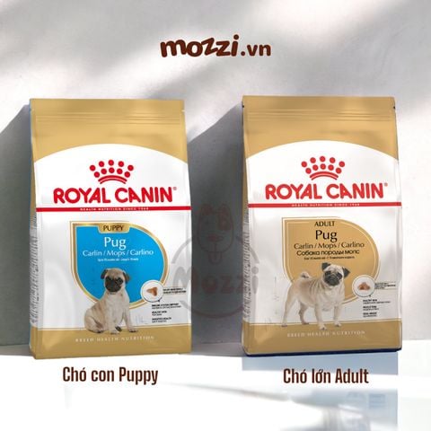 Thức ăn hạt Royal Canin Pug Puppy Adult cho chó mặt xệ [500g - 1.5kg]
