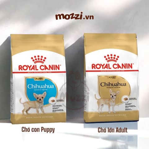 Thức ăn hạt Royal Canin Chihuahua Puppy Adult cho chó Phốc hươu [500g - 1.5kg] 