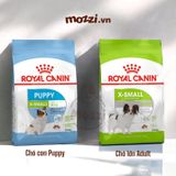  Royal Canin Xsmall Puppy Adult Thức ăn hạt cho chó siêu nhỏ 